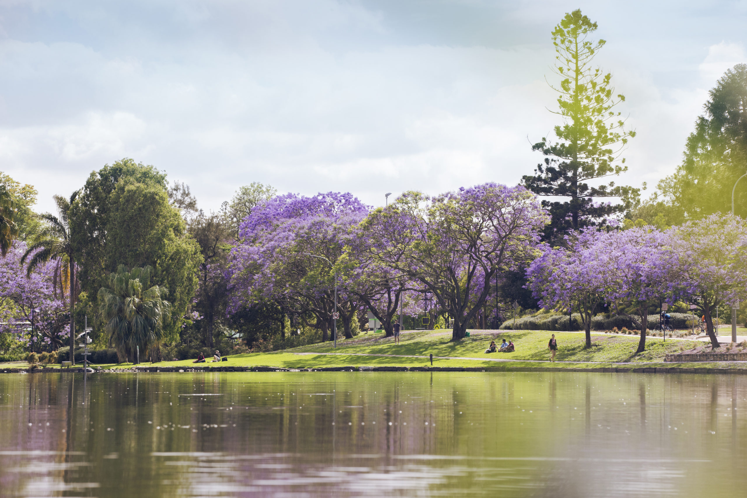 Students walking and sitting by the UQ Lakes at St Lucia campus